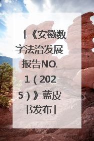 《安徽数字法治发展报告NO.1（2025）》蓝皮书发布