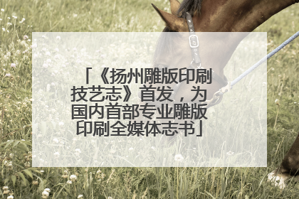 《扬州雕版印刷技艺志》首发，为国内首部专业雕版印刷全媒体志书