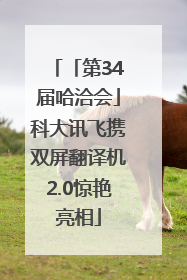 「第34届哈洽会」科大讯飞携双屏翻译机2.0惊艳亮相