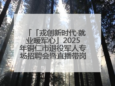 「戎创新时代·就业暖军心」2025年铜仁市退役军人专场招聘会暨直播带岗活动顺利举行