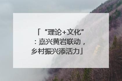 “理论+文化”：嘉兴黄岩联动，乡村振兴添活力