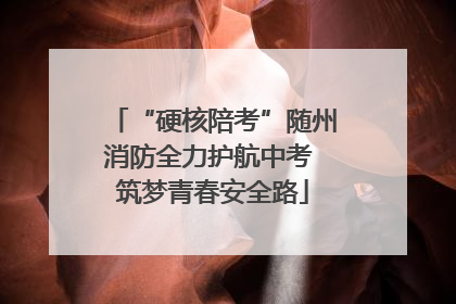 “硬核陪考”随州消防全力护航中考 筑梦青春安全路