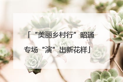“美丽乡村行”昭通专场“演”出新花样