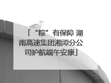 “粽”有保障 湖南高速集团湘潭分公司护航端午安康