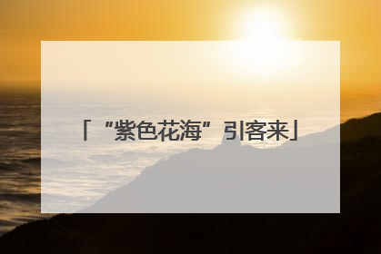 “紫色花海”引客来