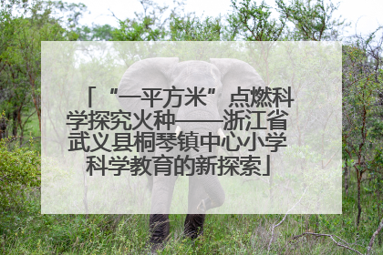 “一平方米”点燃科学探究火种——浙江省武义县桐琴镇中心小学科学教育的新探索