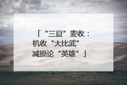 “三夏”麦收：机收“大比武” 减损论“英雄”