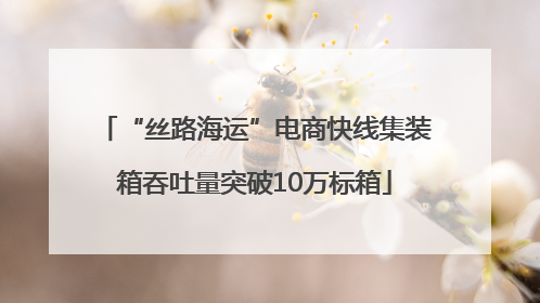 “丝路海运”电商快线集装箱吞吐量突破10万标箱