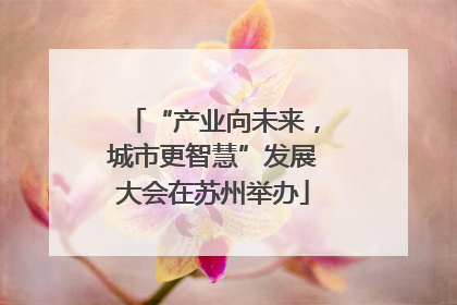 “产业向未来，城市更智慧”发展大会在苏州举办