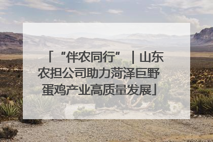 “伴农同行”｜山东农担公司助力菏泽巨野蛋鸡产业高质量发展