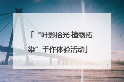 “叶影拾光·植物拓染”手作体验活动