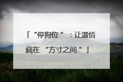 “停狗位 ”：让温情藏在 “方寸之间 ”