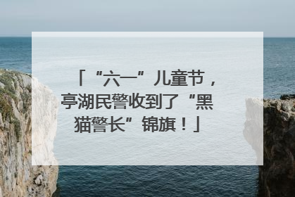 “六一”儿童节，亭湖民警收到了“黑猫警长”锦旗！