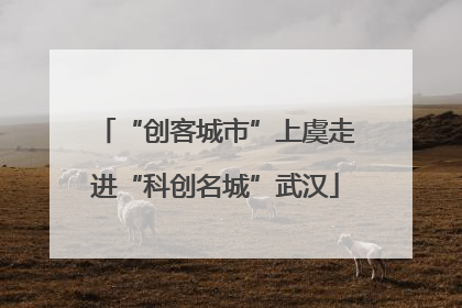 “创客城市”上虞走进“科创名城”武汉