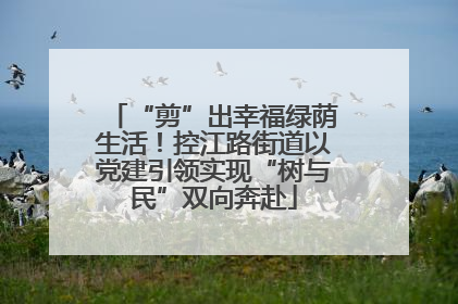 “剪”出幸福绿荫生活！控江路街道以党建引领实现“树与民”双向奔赴