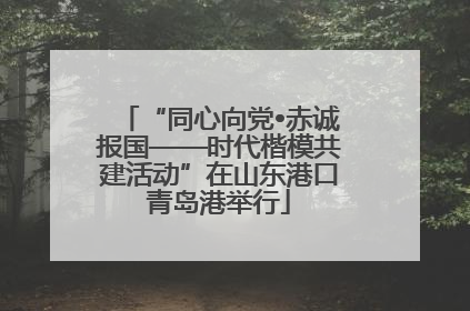 “同心向党•赤诚报国——时代楷模共建活动”在山东港口青岛港举行