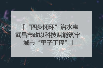 “四步闭环”治水患 武昌市政以科技赋能筑牢城市“里子工程”