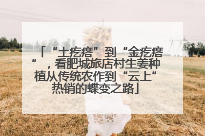 “土疙瘩”到“金疙瘩”，看肥城旅店村生姜种植从传统农作到“云上”热销的蝶变之路