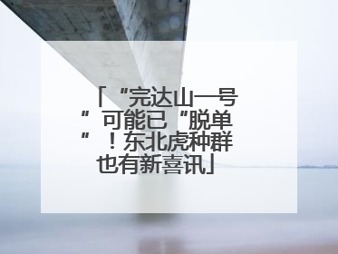 “完达山一号”可能已“脱单”！东北虎种群也有新喜讯