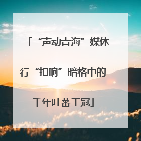 “声动青海”媒体行“扣响”暗格中的千年吐蕃王冠