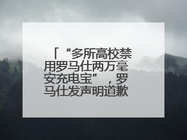 “多所高校禁用罗马仕两万毫安充电宝”，罗马仕发声明道歉：已展开核查