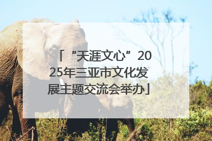 “天涯文心”2025年三亚市文化发展主题交流会举办