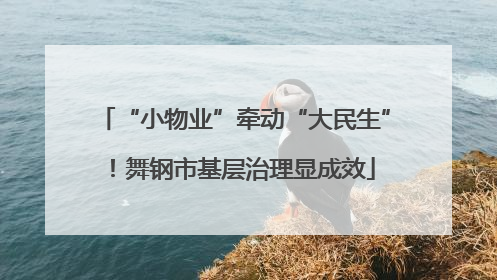 “小物业”牵动“大民生”！舞钢市基层治理显成效