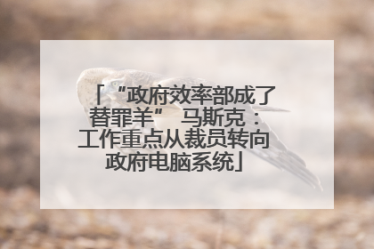 “政府效率部成了替罪羊” 马斯克：工作重点从裁员转向政府电脑系统