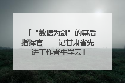 “数据为剑”的幕后指挥官——记甘肃省先进工作者牛学云