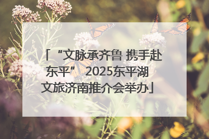 “文脉承齐鲁 携手赴东平” 2025东平湖文旅济南推介会举办