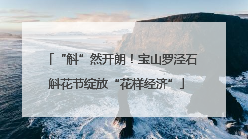 “斛”然开朗！宝山罗泾石斛花节绽放“花样经济”