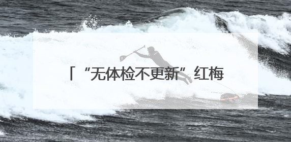 “无体检不更新”红梅社区如何实现从老旧小区蝶到完整社区的蝶变？