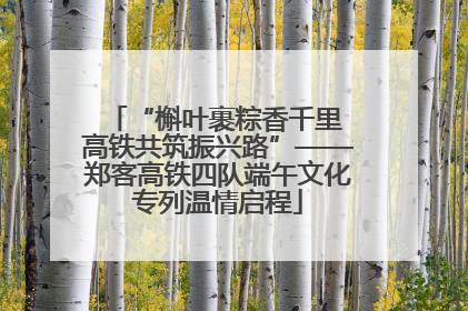 “槲叶裹粽香千里 高铁共筑振兴路”——郑客高铁四队端午文化专列温情启程