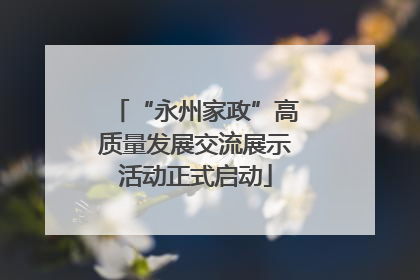 “永州家政”高质量发展交流展示活动正式启动
