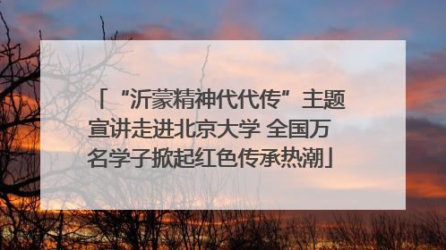 “沂蒙精神代代传”主题宣讲走进北京大学 全国万名学子掀起红色传承热潮