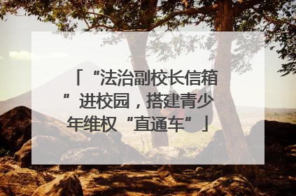 “法治副校长信箱”进校园，搭建青少年维权“直通车”