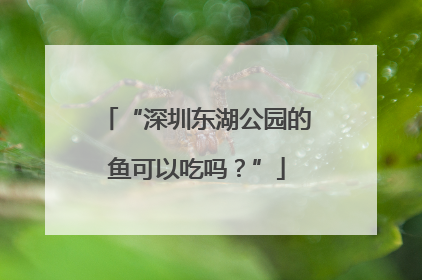 “深圳东湖公园的鱼可以吃吗？”