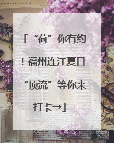“荷”你有约！福州连江夏日“顶流”等你来打卡→