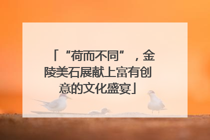 “荷而不同”，金陵美石展献上富有创意的文化盛宴