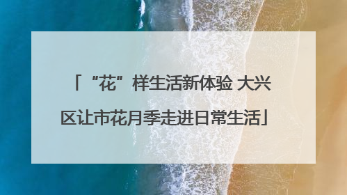 “花”样生活新体验 大兴区让市花月季走进日常生活