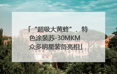 “超级大黄蜂”、特色涂装苏-30MKM 众多明星装备亮相