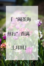 “闽茶海丝行”香满土耳其
