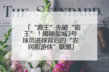 “鹿王”先破“霸王”！揭秘盐城3号球员进球背后的“农民街游侠”联盟