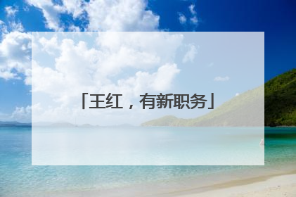 王红，有新职务