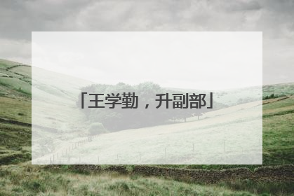 王学勤，升副部