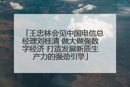 王忠林会见中国电信总经理刘桂清 做大做强数字经济 打造发展新质生产力的强劲引擎