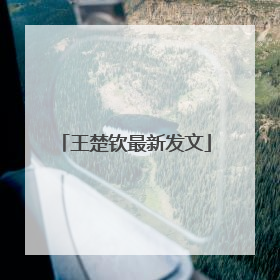 王楚钦最新发文