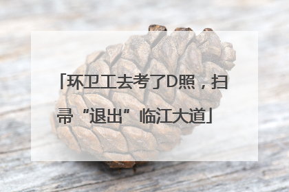 环卫工去考了D照，扫帚“退出”临江大道
