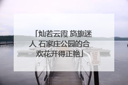灿若云霞 旖旎迷人 石家庄公园的合欢花开得正艳