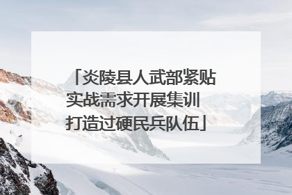 炎陵县人武部紧贴实战需求开展集训 打造过硬民兵队伍